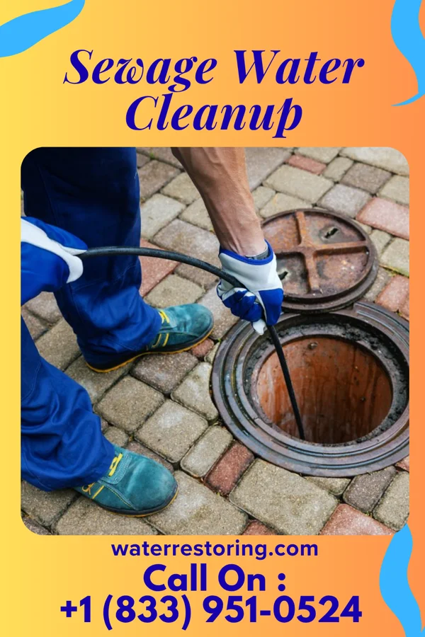 Sewage Water Cleanup in Muscatine, IA
